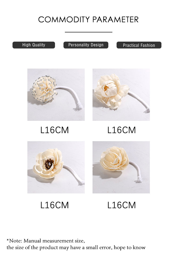 Diffuser-Dried-Flower-XQ (2)
