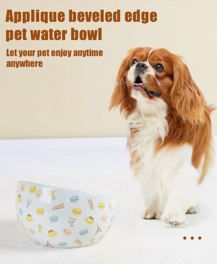 Non-toxic-Pet-Water-Bowl-xq (1)