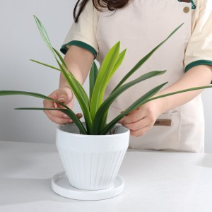 ODM Indoor Table Wide-Mouth Design Ceramic Wide-Mouth Striped Planter with Tray