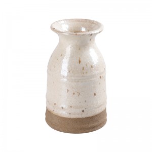 Two-Tone Ceramic Vase for Home Decor