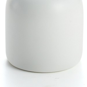 Round Decorative Unique Ceramic Aroma Oil Bottle with Reed Diffuser