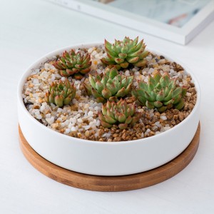 Round White Ceramic Succulent Plant Pot