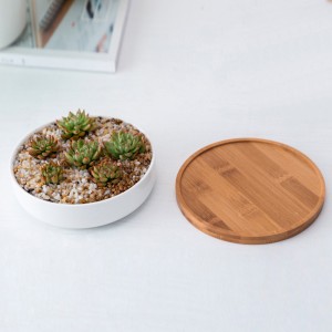 Round White Ceramic Succulent Plant Pot